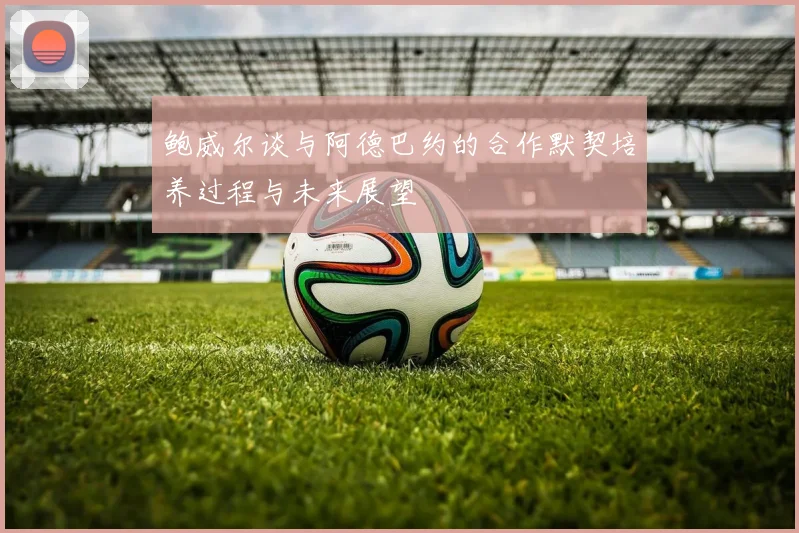 鲍威尔谈与阿德巴约的合作默契培养过程与未来展望