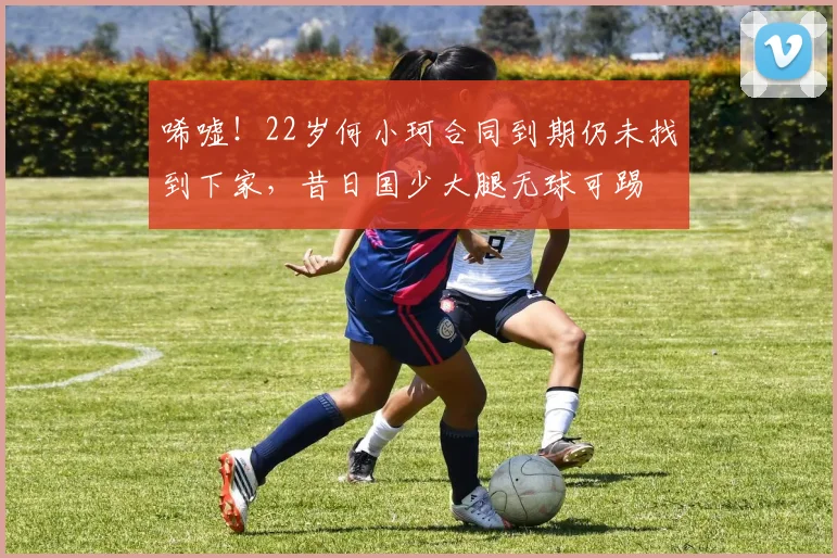 唏嘘！22岁何小珂合同到期仍未找到下家，昔日国少大腿无球可踢